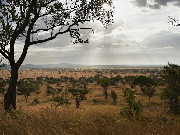 Singita Explore - Landscape 